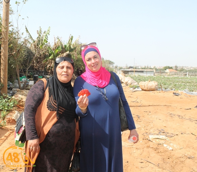 a7bab aqsa farawla (18).JPG